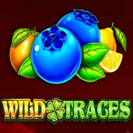 Wild Traces by Amusnet Interactive, showcased at sankra.eu – game logo